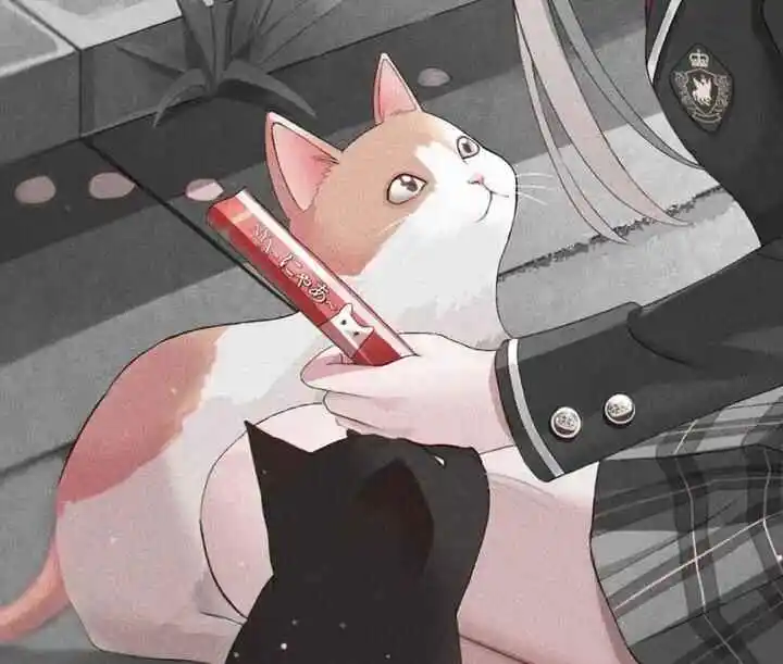 西檬之家brat属性是什么?深入解析字母圈中的调皮角色 一