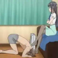 西檬之家字母圈brat属性详解,了解你的角色特征与互动方式 一