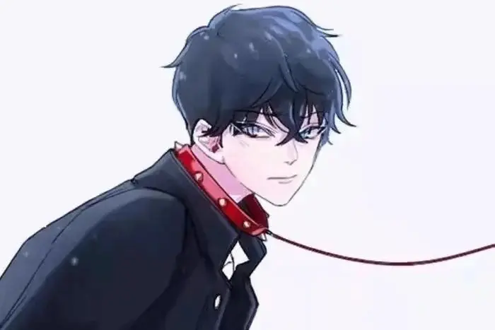 西檬之家k8是什么?探寻字母圈中的神秘术语 一