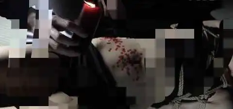 西檬之家字母圈的大圈是什么?你了解吗? 一