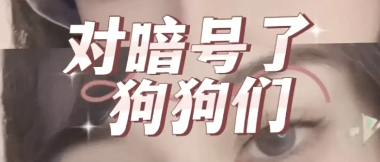 西檬之家s属性是什么?你的字母圈身份认同指南 一