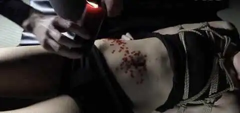 西檬之家tickle在字母圈中的魅力与玩法解析 一