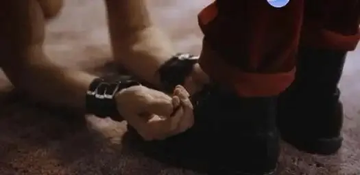 西檬之家s属性在字母圈中的角色与意义是什么? 一