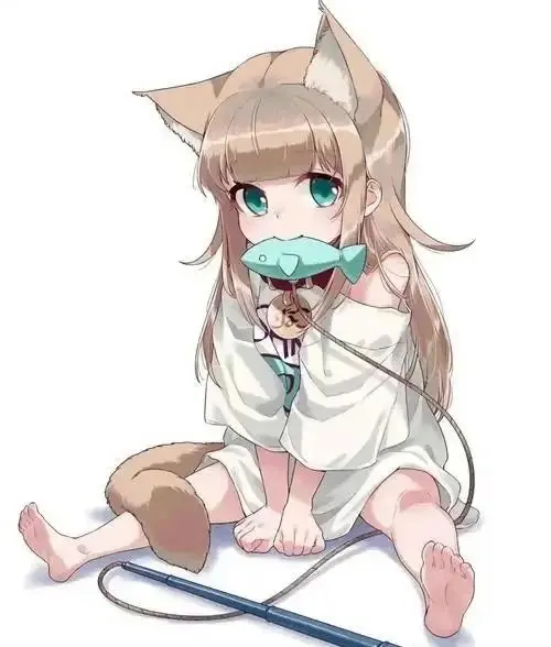 西檬之家字母圈的大圈是什么?探寻你未知的兴趣领域 一