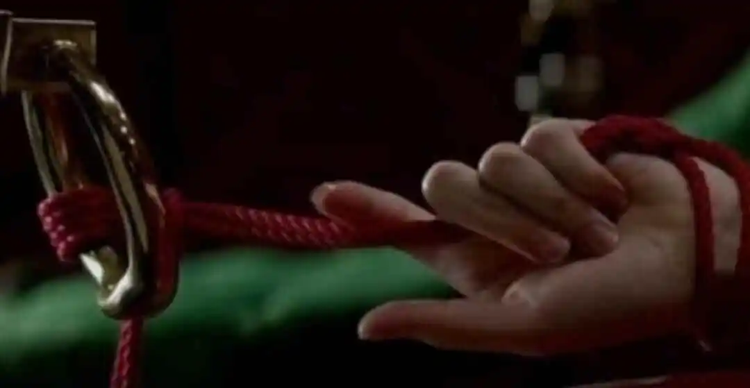 西檬之家什么是s属性?探索你的字母圈支配者身份 一