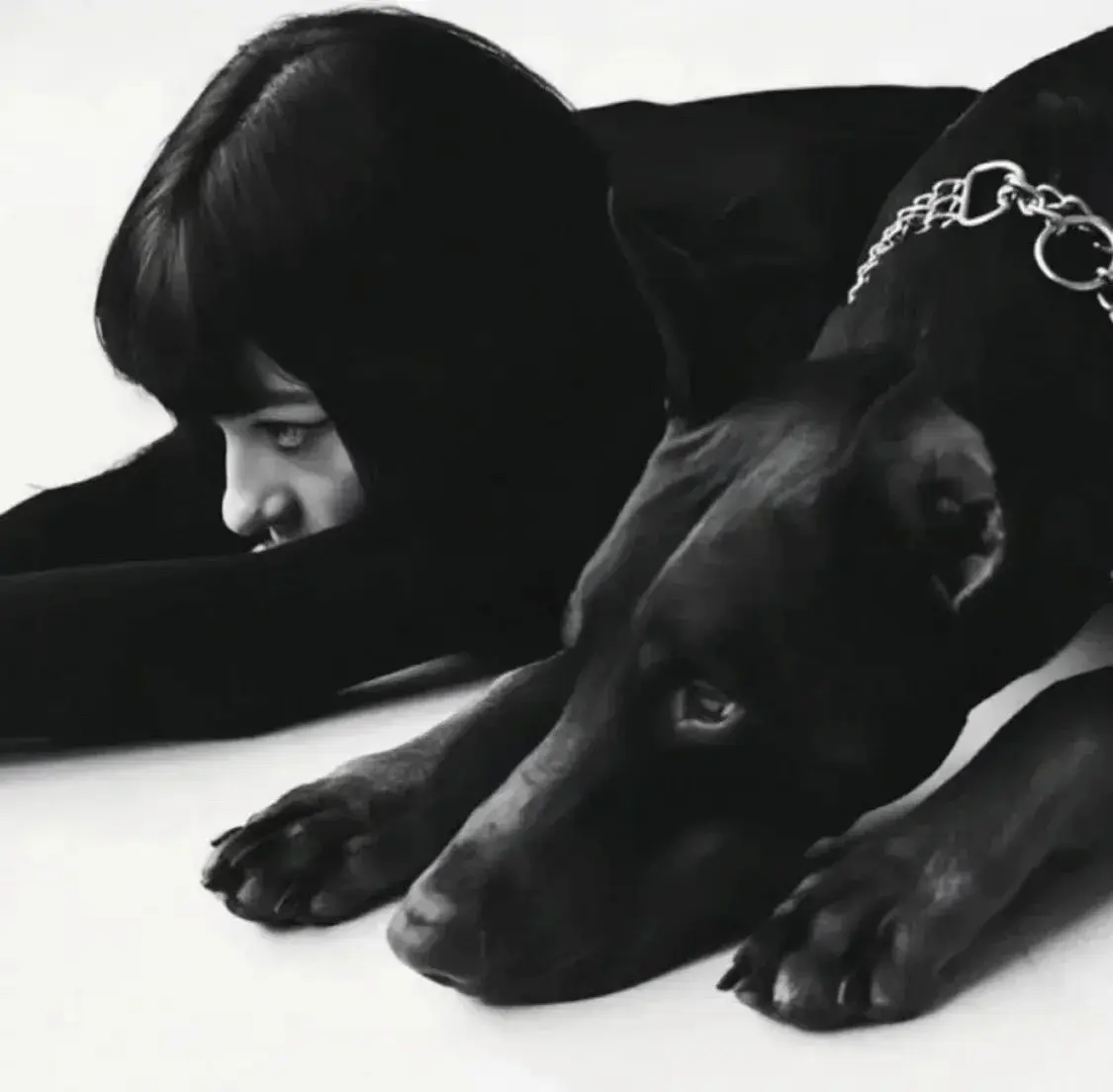 西檬之家s属性解密:字母圈新人必知的秘密与实践技巧 一