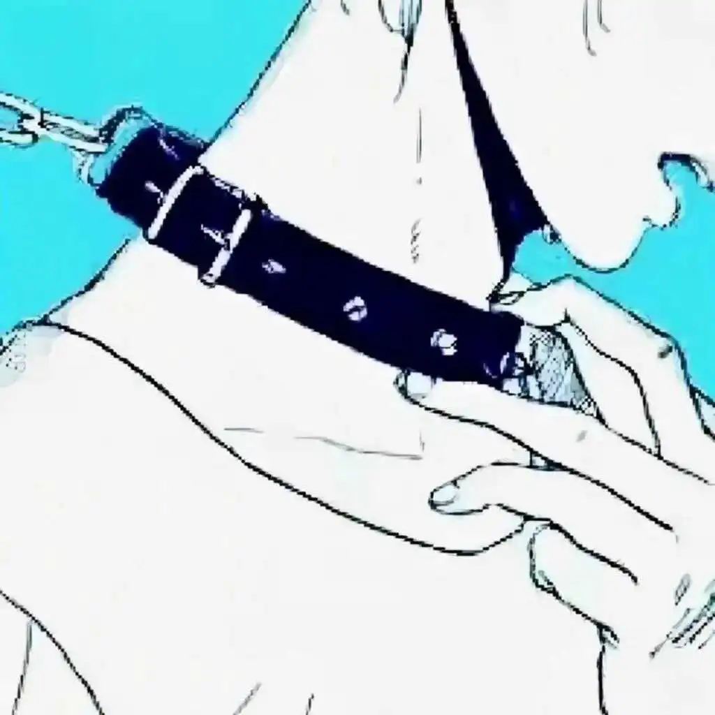 西檬之家s倾向是什么?字母圈新人必看指南 一