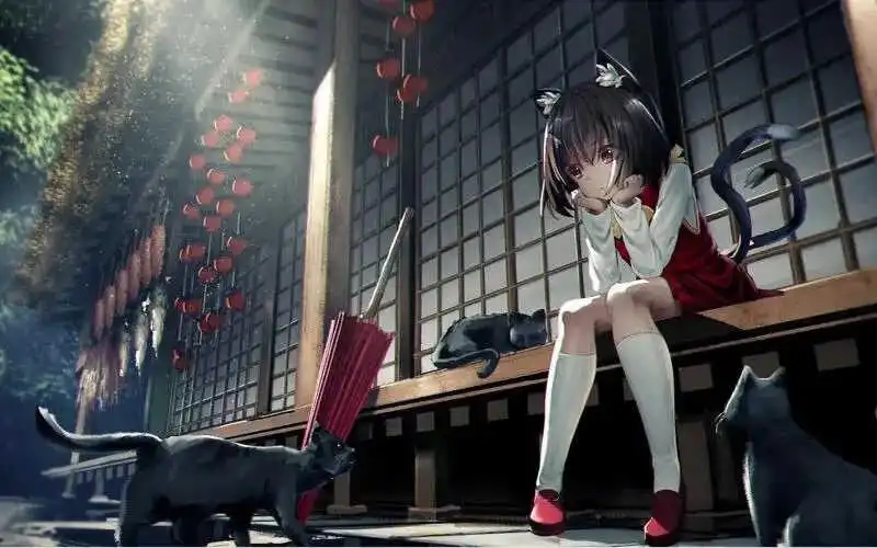 西檬之家k8是什么?深入了解字母圈新手必备知识 一