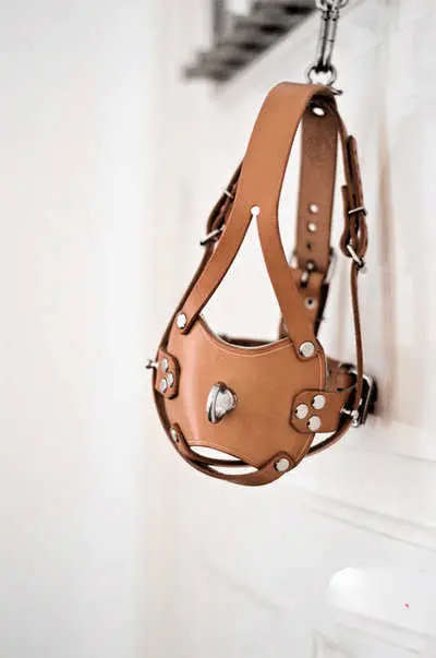 西檬之家sub是什么?深入了解字母圈中臣服者的角色与含义 一