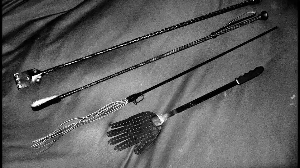 西檬之家k9犬系是什么?探究字母圈中的忠诚与服从。 一