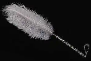 西檬之家探索字母圈中的spank实践与安全指南 一