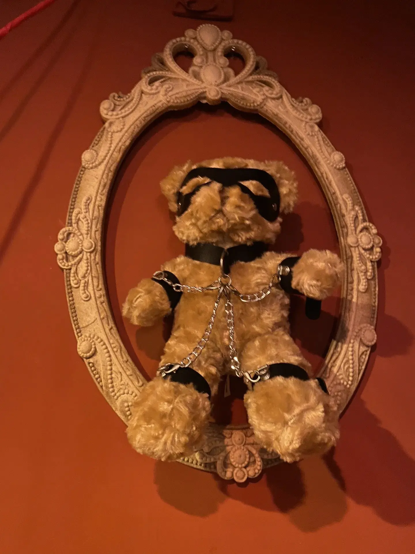 西檬之家字母圈的大圈究竟是什么?探索2025年最新趋势 一