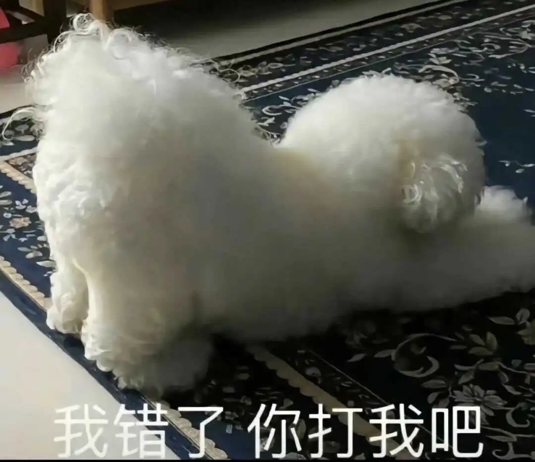 西檬之家BDSM新人入门指南 一