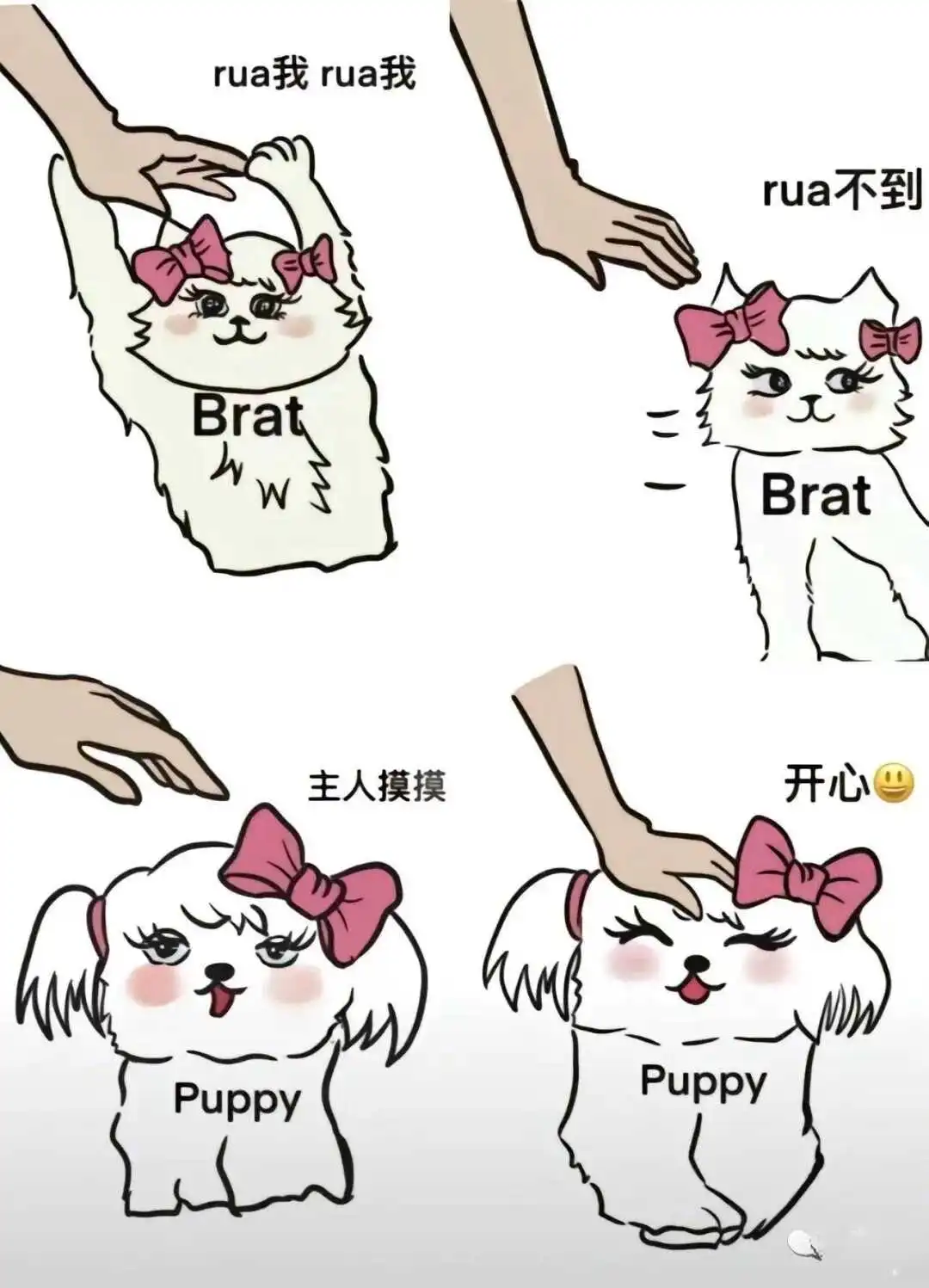 西檬之家Dom是什么意思?字母圈新人入圈 一