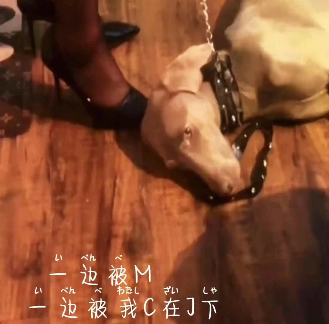 西檬之家aftercare怎么做?字母圈新人入圈 一