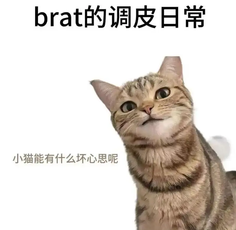 西檬之家ddlg是什么?字母圈新人必读 一