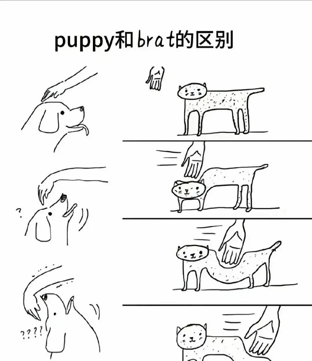 西檬之家sub是什么?字母圈新人必读 一