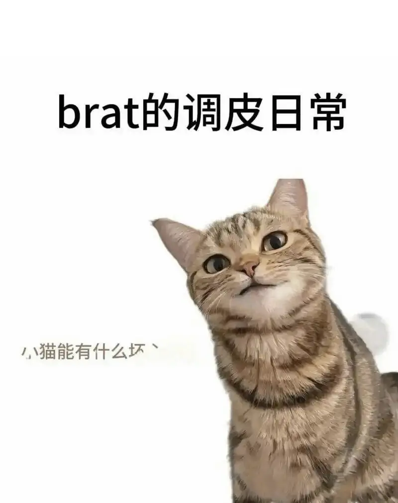 西檬之家女王属性解析 一