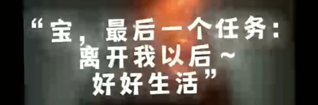 西檬之家字母圈k9犬系是什么意思? 一